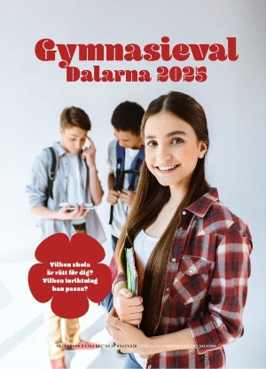 Borlänge Tidning Kundtidning 2024-11-28