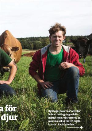 borlangetidning_pralin-20160917_000_00_00_007.pdf