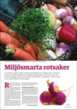 borlangetidning_pralin-20161022_000_00_00_018.pdf