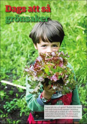 borlangetidning_pralin-20170408_000_00_00_012.pdf