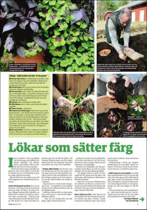 borlangetidning_pralin-20170429_000_00_00_011.pdf