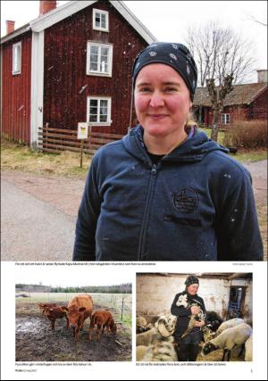 borlangetidning_pralin-20170513_000_00_00_005.pdf