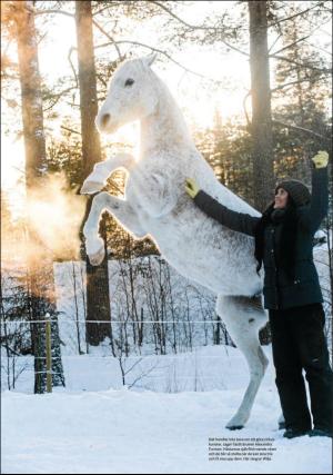 borlangetidning_pralin-20180120_000_00_00_009.pdf