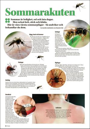 borlangetidning_pralin-20180630_000_00_00_038.pdf
