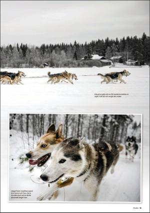 borlangetidning_pralin-20190216_000_00_00_015.pdf