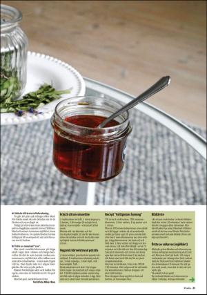 borlangetidning_pralin-20190511_000_00_00_021.pdf