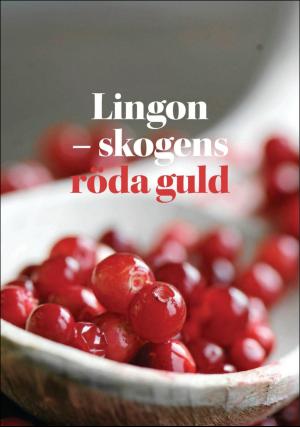 borlangetidning_pralin-20190914_000_00_00_019.pdf