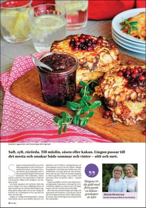 borlangetidning_pralin-20190914_000_00_00_020.pdf