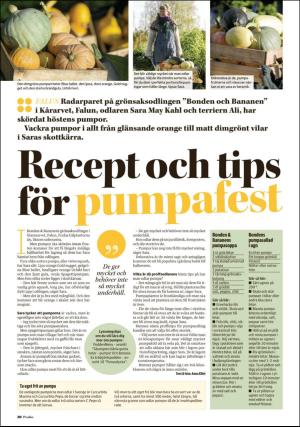 borlangetidning_pralin-20191026_000_00_00_020.pdf