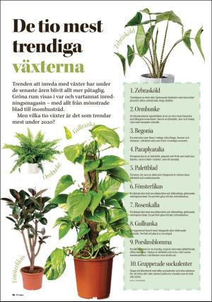 borlangetidning_pralin-20200208_000_00_00_010.pdf