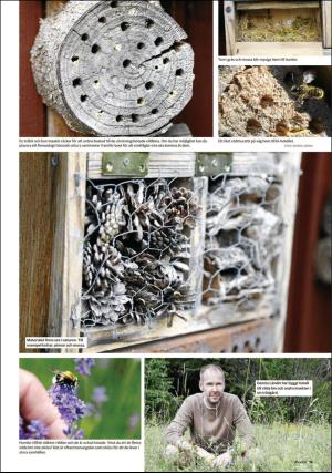 borlangetidning_pralin-20200530_000_00_00_015.pdf