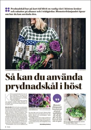 borlangetidning_pralin-20201010_000_00_00_008.pdf