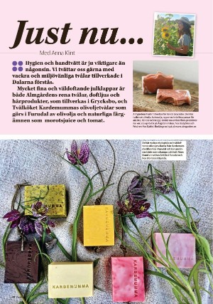borlangetidning_pralin-20201128_000_00_00_022.pdf