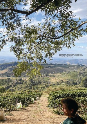 borlangetidning_pralin-20210522_000_00_00_019.pdf