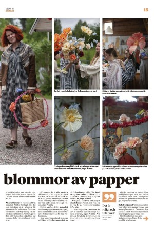 borlangetidning_pralin-20220618_000_00_00_015.pdf