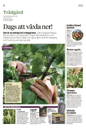 borlangetidning_pralin-20220702_000_00_00_008.pdf