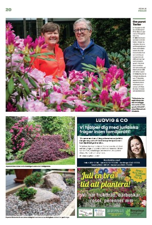 borlangetidning_pralin-20220702_000_00_00_020.pdf