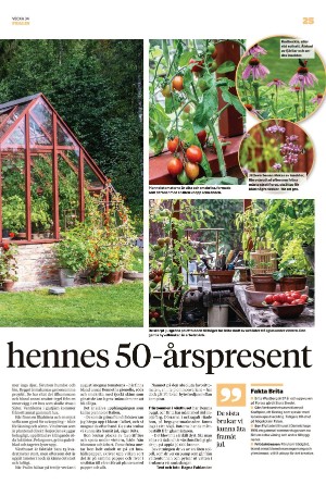 borlangetidning_pralin-20220827_000_00_00_025.pdf