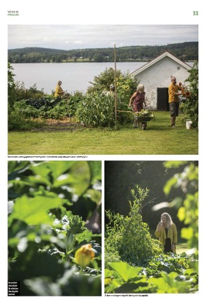 borlangetidning_pralin-20220910_000_00_00_011.pdf