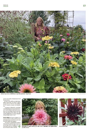 borlangetidning_pralin-20220910_000_00_00_017.pdf