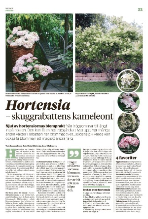 borlangetidning_pralin-20220917_000_00_00_021.pdf