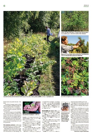 borlangetidning_pralin-20221001_000_00_00_006.pdf