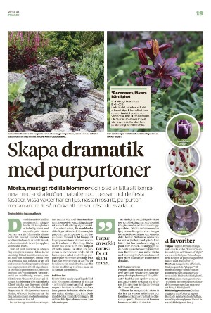 borlangetidning_pralin-20221008_000_00_00_019.pdf