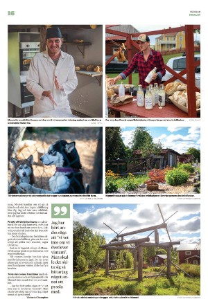 borlangetidning_pralin-20221015_000_00_00_016.pdf
