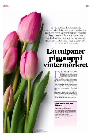 borlangetidning_pralin-20230114_000_00_00_015.pdf