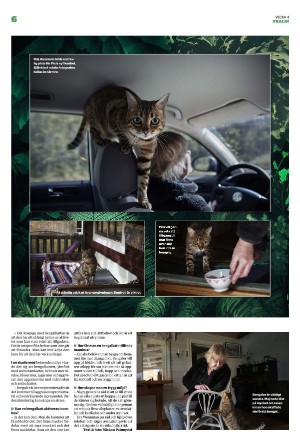 borlangetidning_pralin-20230128_000_00_00_006.pdf