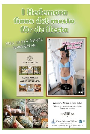 borlangetidning_pralin-20230325_000_00_00_014.pdf
