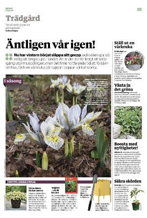 borlangetidning_pralin-20230429_000_00_00_015.pdf