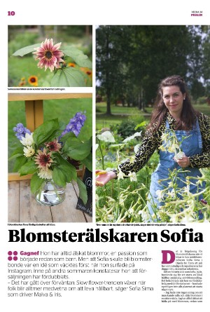 borlangetidning_pralin-20230826_000_00_00_010.pdf