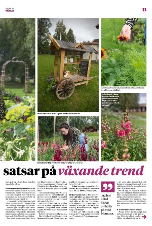 borlangetidning_pralin-20230826_000_00_00_011.pdf