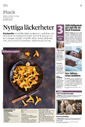 borlangetidning_pralin-20231021_000_00_00_009.pdf
