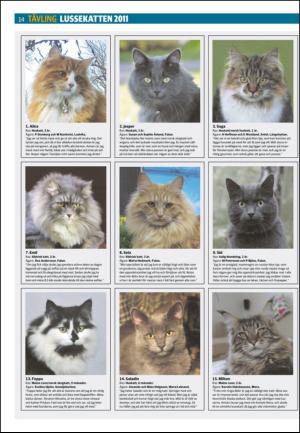 borlangetidning_seksjon-20111126_000_00_00_014.pdf