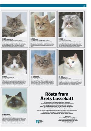 borlangetidning_seksjon-20111126_000_00_00_015.pdf