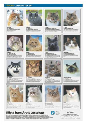 borlangetidning_seksjon-20111205_000_00_00_010.pdf