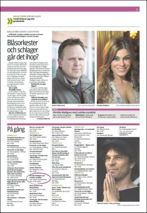 borlangetidning_seksjon-20120413_000_00_00_003.pdf