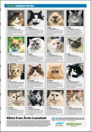 borlangetidning_seksjon-20121206_000_00_00_011.pdf