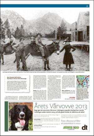 borlangetidning_seksjon-20130405_000_00_00_021.pdf