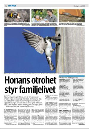 borlangetidning_seksjon-20130506_000_00_00_012.pdf