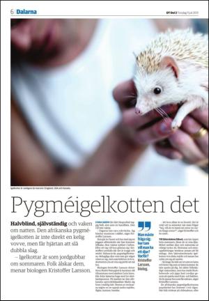 borlangetidning_seksjon-20130711_000_00_00_006.pdf