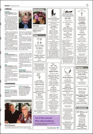 borlangetidning_seksjon-20130711_000_00_00_015.pdf