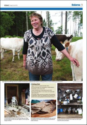 borlangetidning_seksjon-20130723_000_00_00_009.pdf