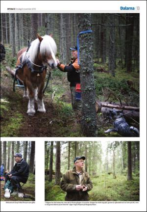 borlangetidning_seksjon-20131106_000_00_00_013.pdf