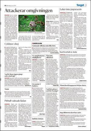borlangetidning_seksjon-20140602_000_00_00_003.pdf