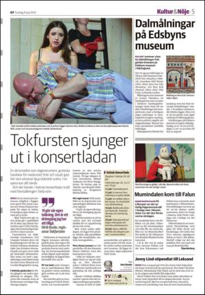 borlangetidning_seksjon-20140710_000_00_00_005.pdf