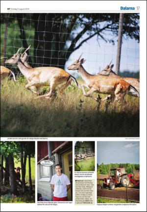 borlangetidning_seksjon-20140821_000_00_00_017.pdf