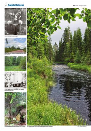 borlangetidning_seksjon-20140829_000_00_00_014.pdf